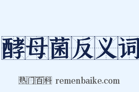 酵母菌反义词是什么意思的图片